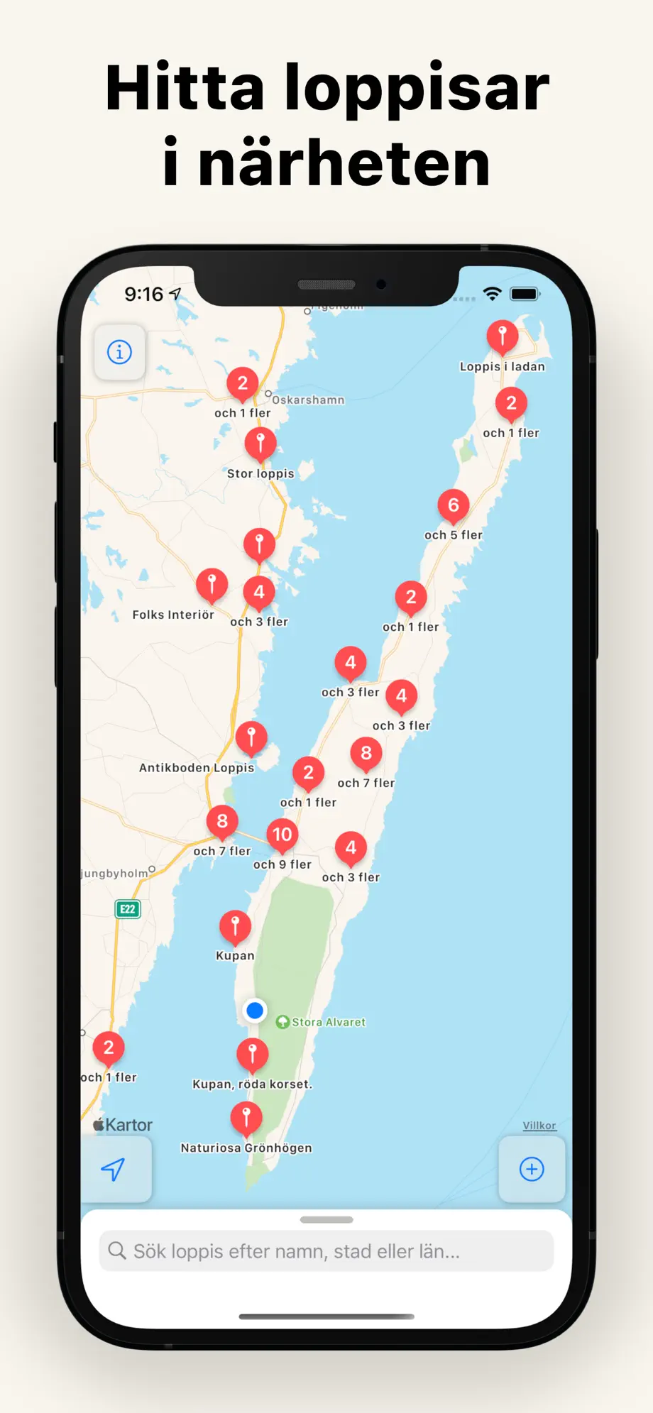 Loppisappen iPhone App View